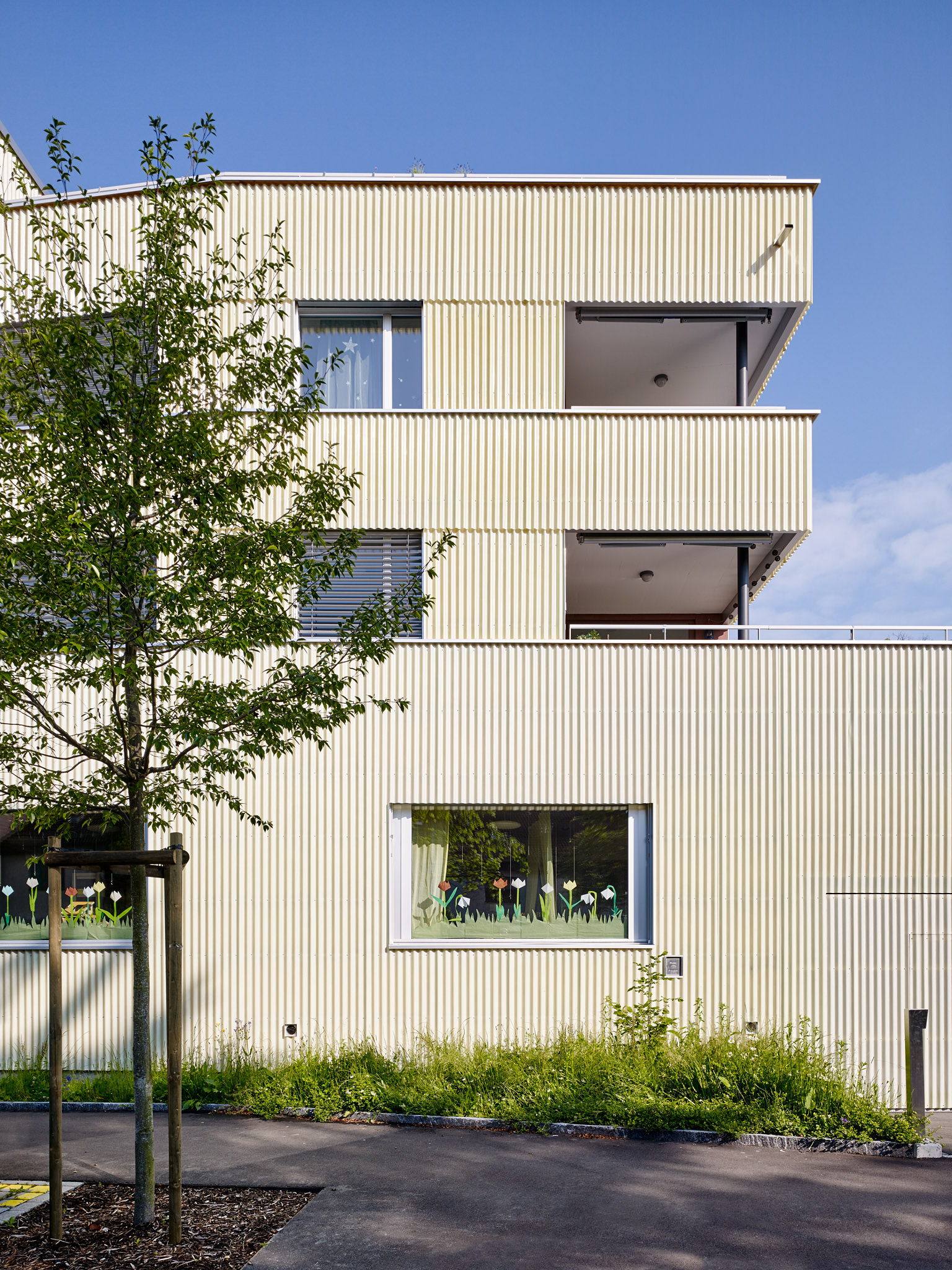 E15551 Alpa 050984 SCREEN